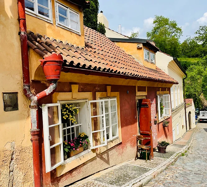 NOVÝ SVĚT STREET