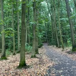 A Hike in Prague at Natural Park Košíře-Motol