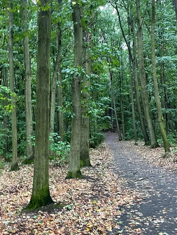 A Hike in Prague at Natural Park Košíře-Motol