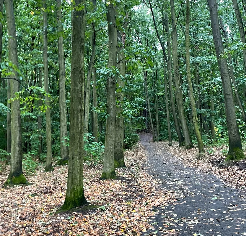 Kosire Motol Park In Prague