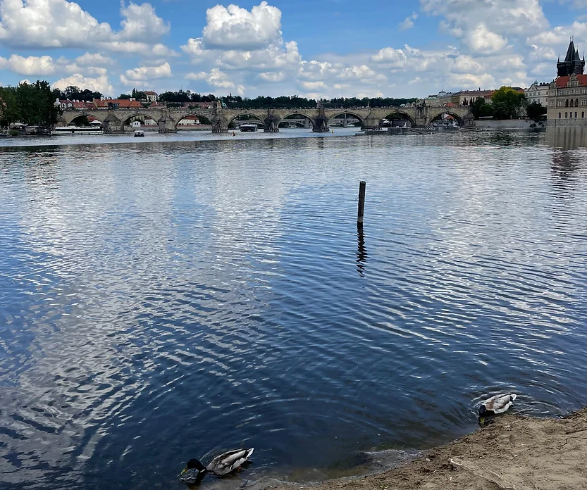 Archer's Island in Prague