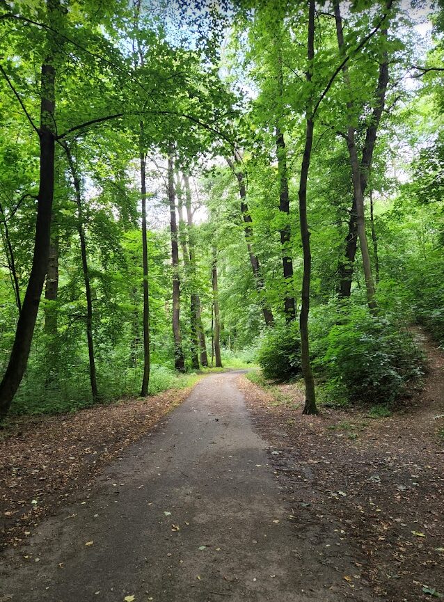 Kosire Motol Park In Prague