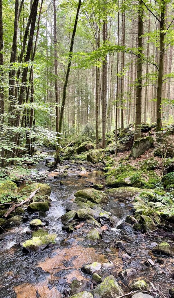 Wasserfall St. Wolfgang