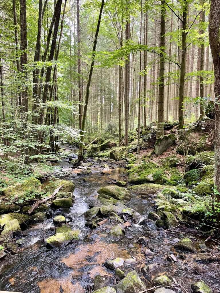 Wasserfall St. Wolfgang