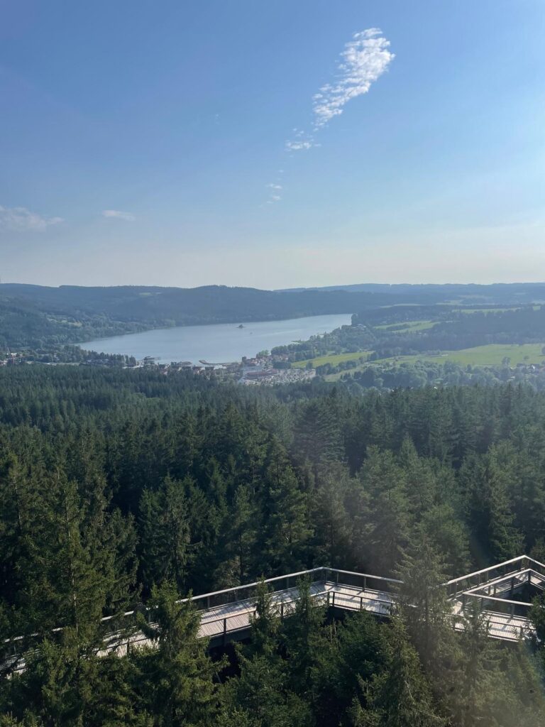 Treetop Trail Lipno