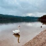 lipno lake